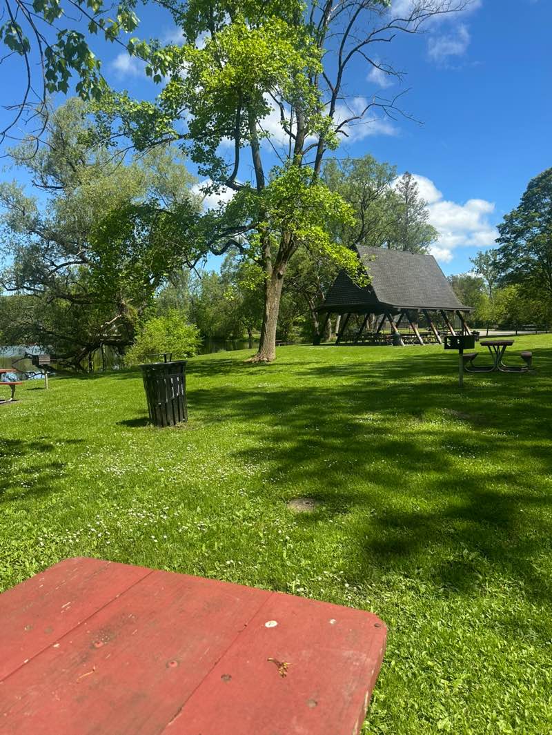 walking near me in Durkee Park in spring