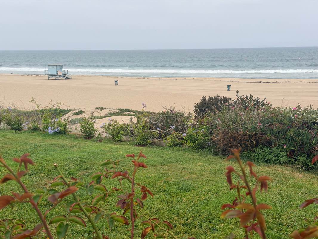 walking near me in Bruce’s Beach in summer