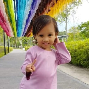 Norhamila Abdull Hamid