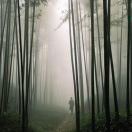 清山入我怀
