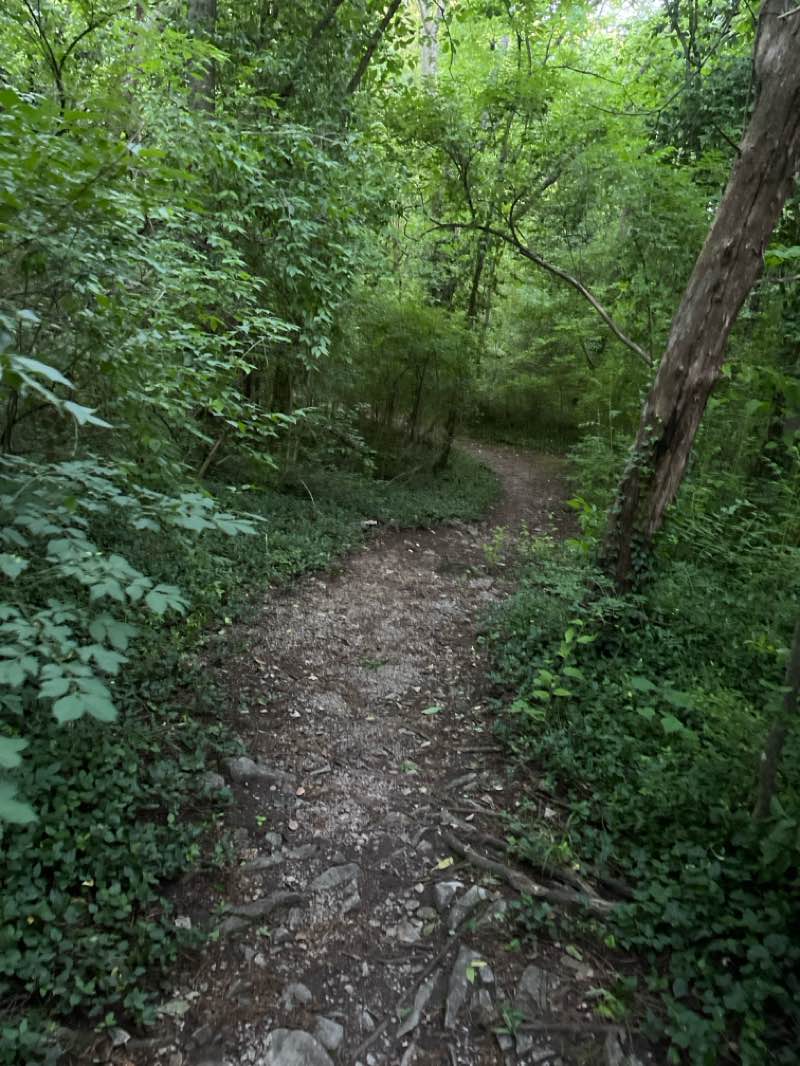 walking near me in Chuck Crume Nature Park in spring