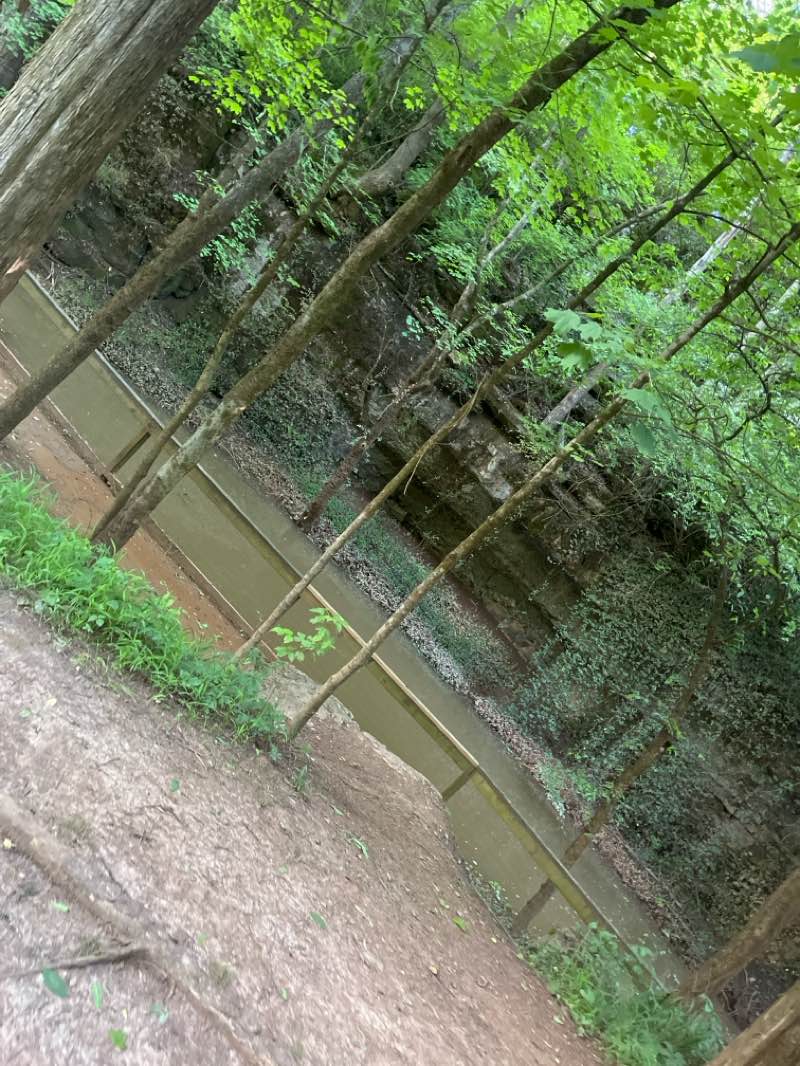 walking near me in Lost River Cave& Valley in spring