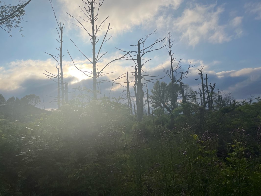 walking near me in Presque Isle State Park in summer