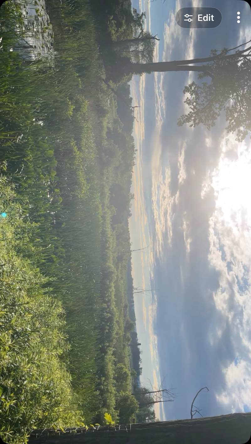 walking near me in Presque Isle State Park in summer