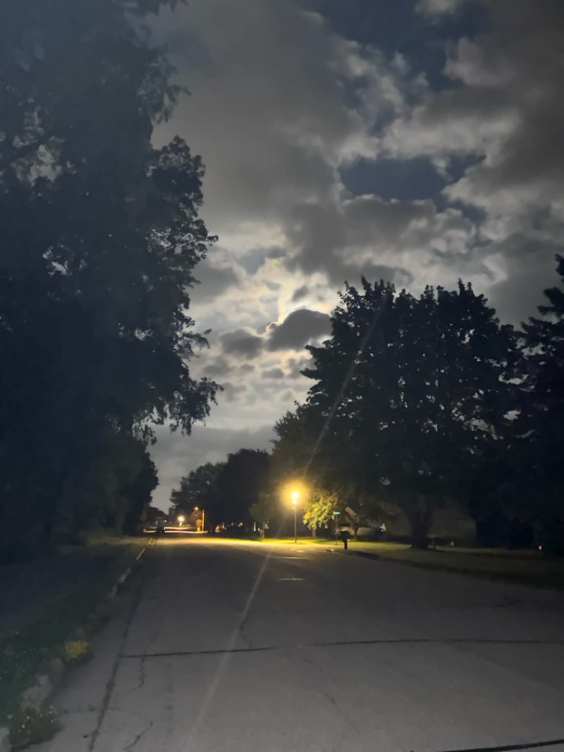 walking near me in City Park in summer