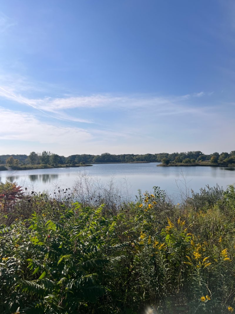 walking near me in Mallard Lake Forest Preserve in winter