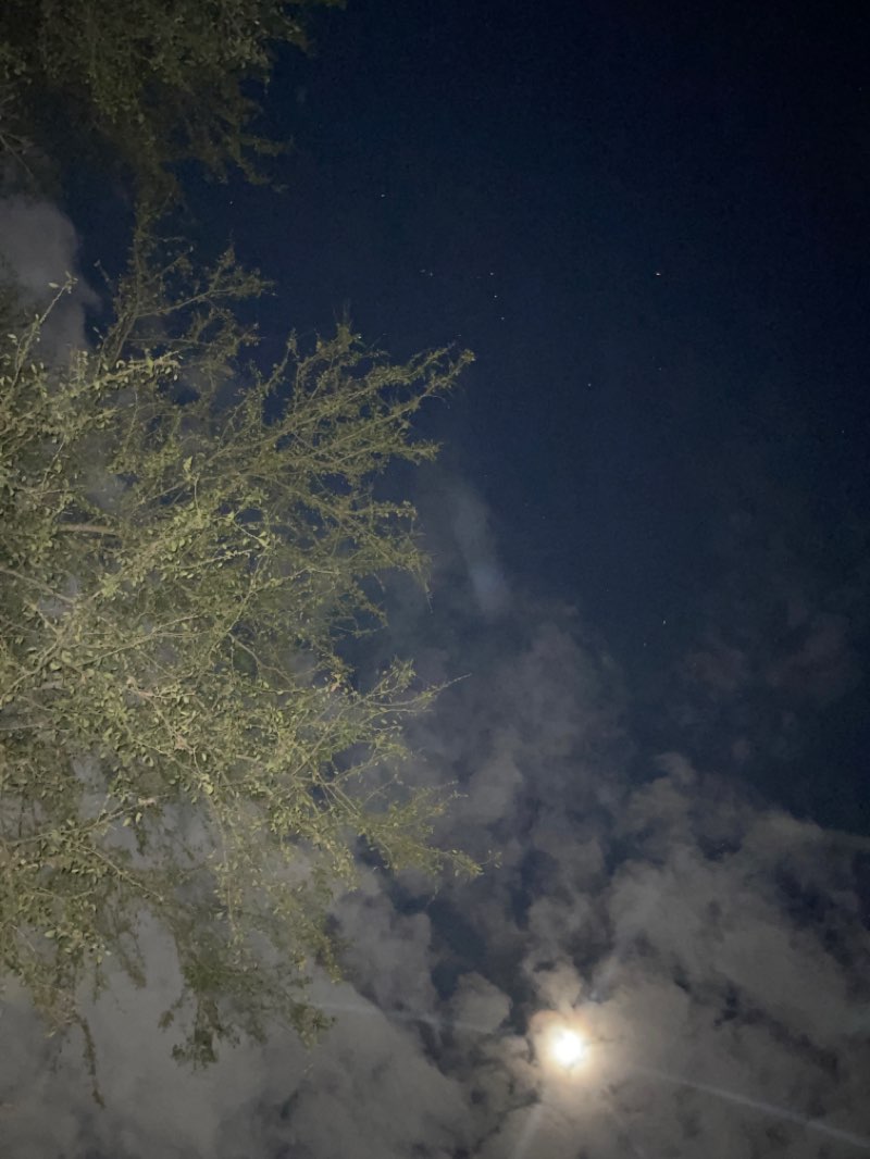 walking near me in Barangay Loyola Heights Compound in winter