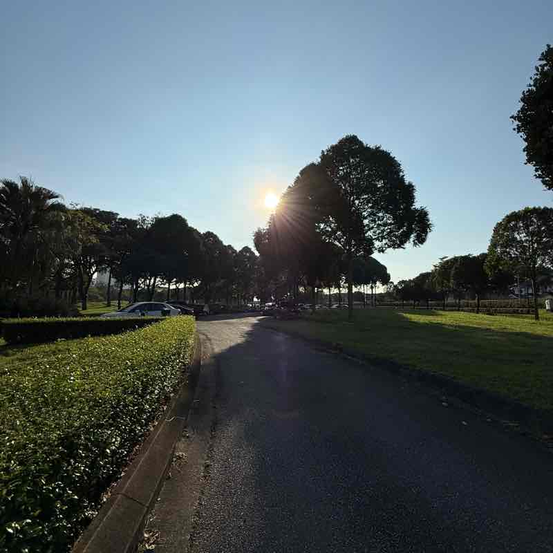 Ell Typewriter post 2