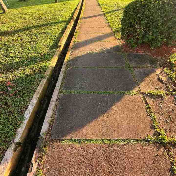 Ell Typewriter post 1