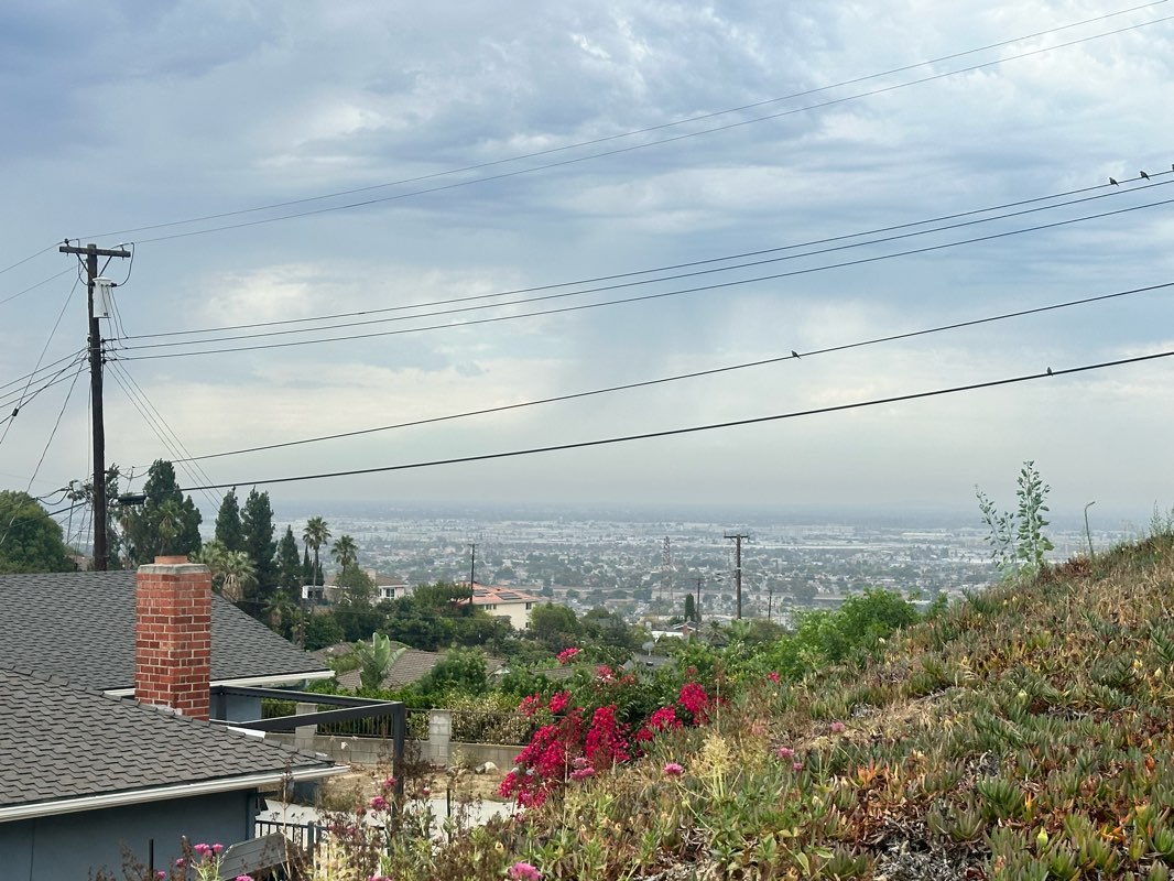 walking near me in Sequoia Park in autumn