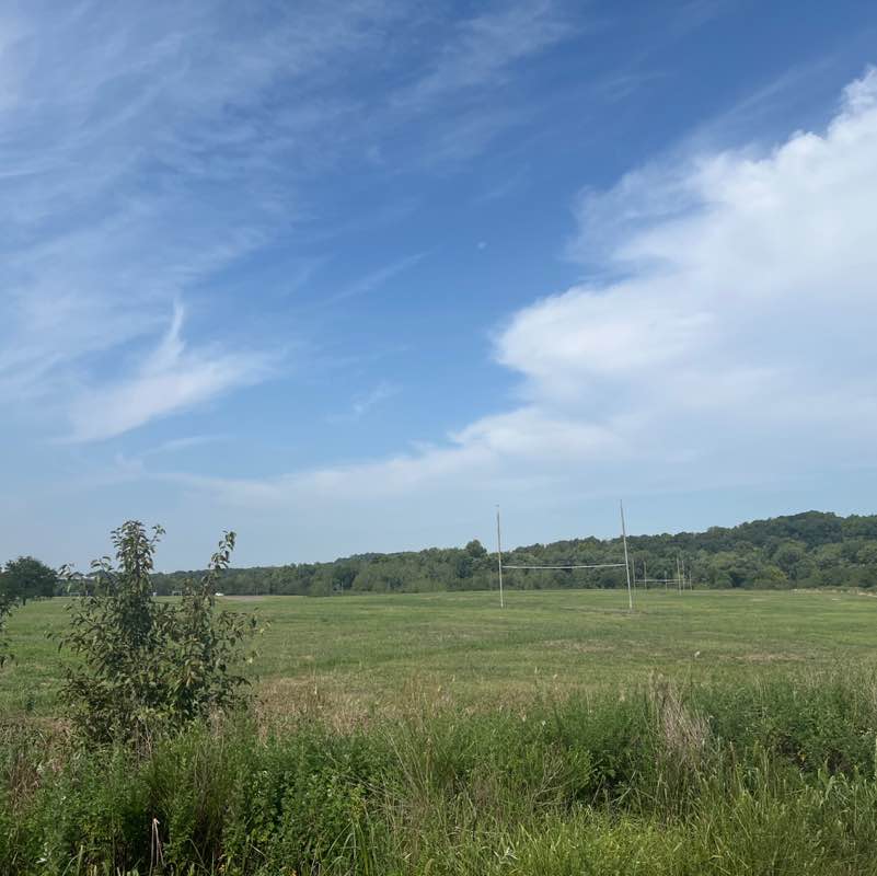 Mashane Nthutang post 2