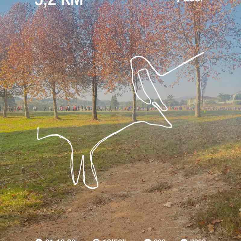 Mashane Nthutang post 1