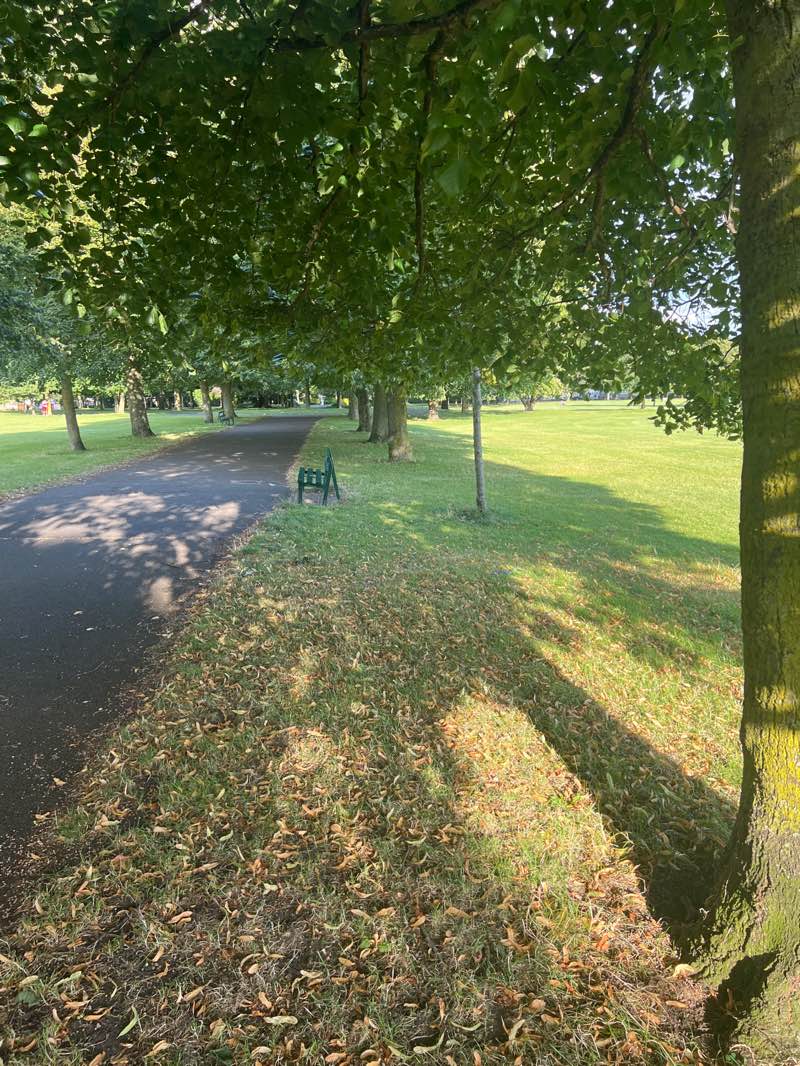 walking near me in Ellenfield Park in autumn