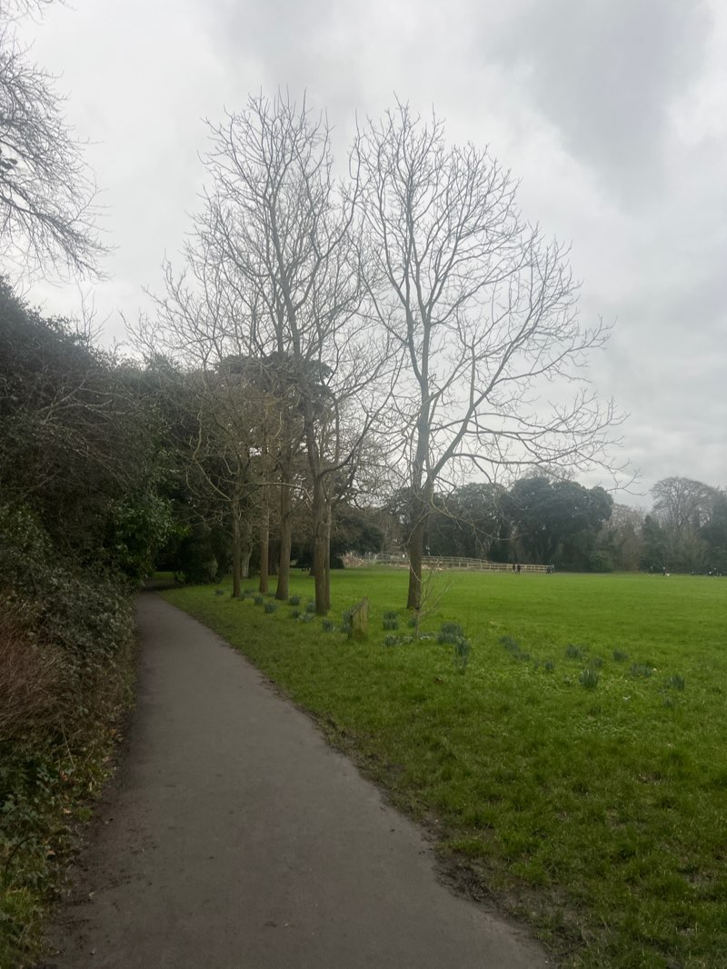 walking near me in St Anne's Park in winter