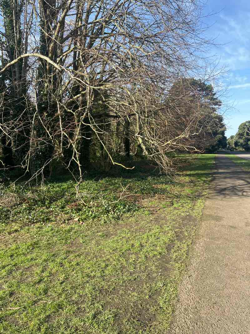 walking near me in St Anne's Park in spring