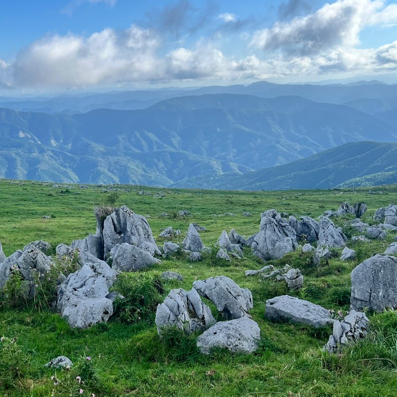 総　yamada mao profile