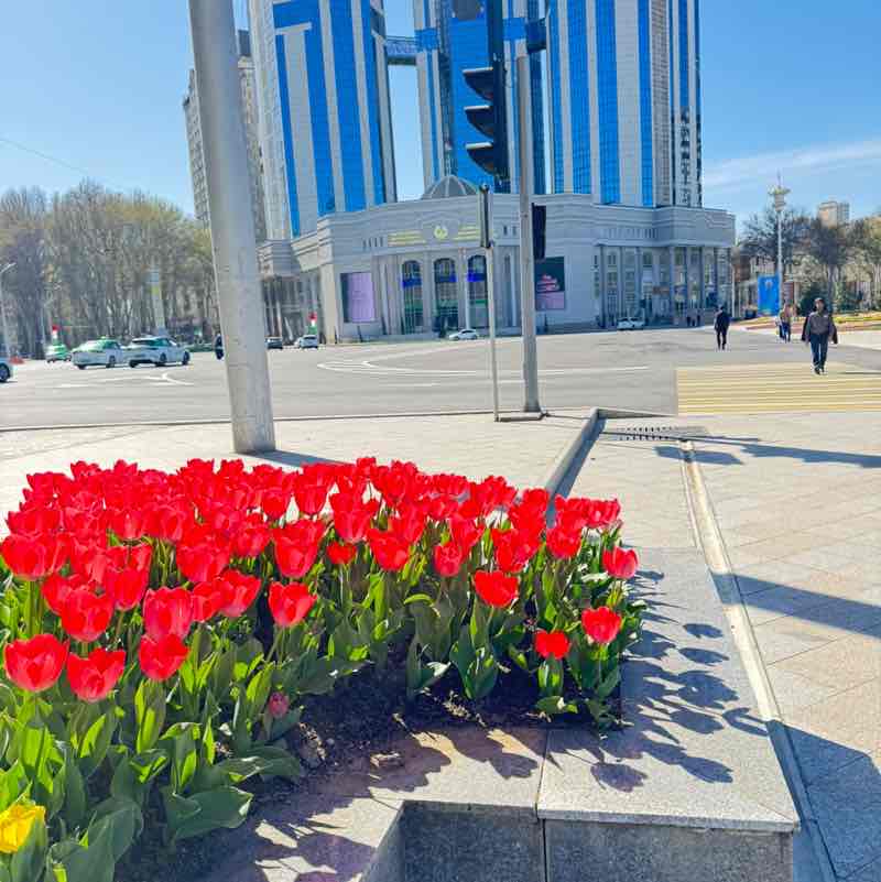 🐯Николай Z 🐯🇷🇺 post 2