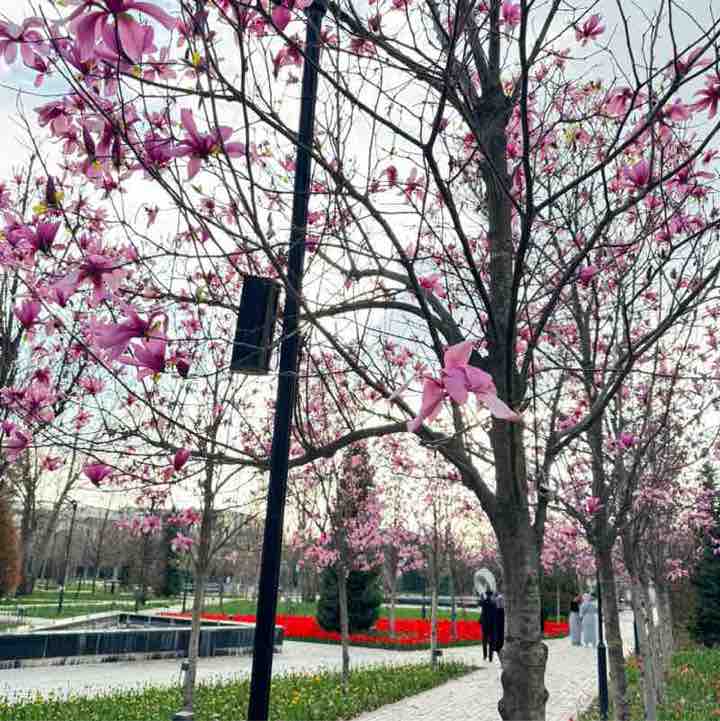 🐯Николай Z 🐯🇷🇺 post 3