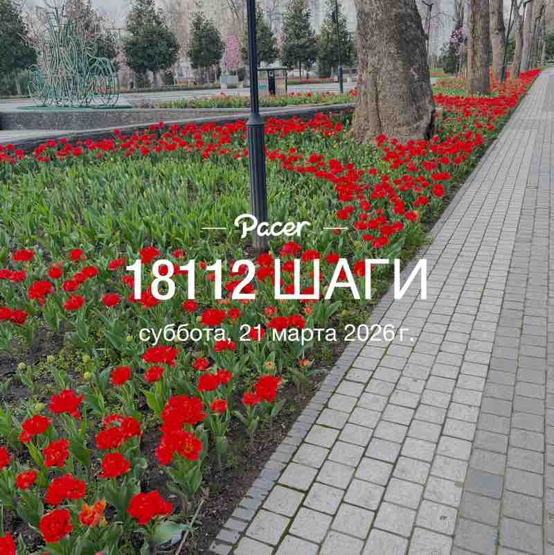 🐯Николай Z 🐯🇷🇺 post 1