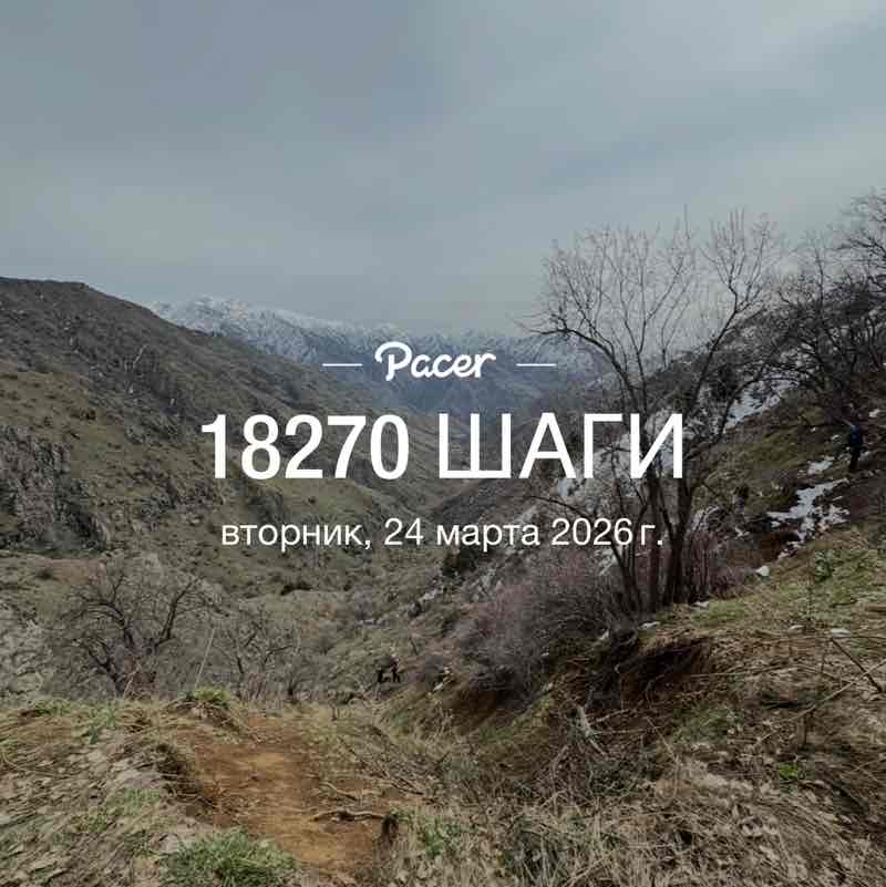 🐯Николай Z 🐯🇷🇺 post 1