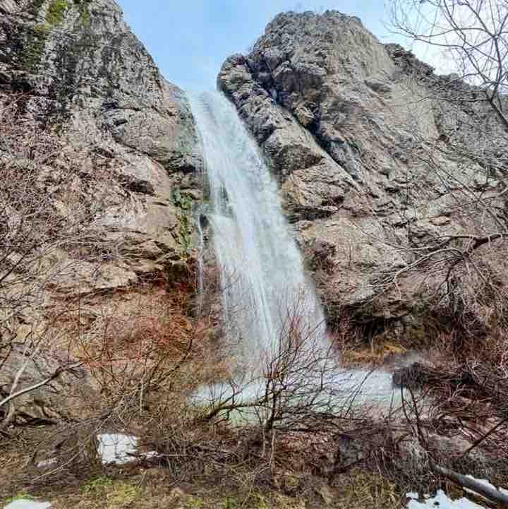 🐯Николай Z 🐯🇷🇺 post 3