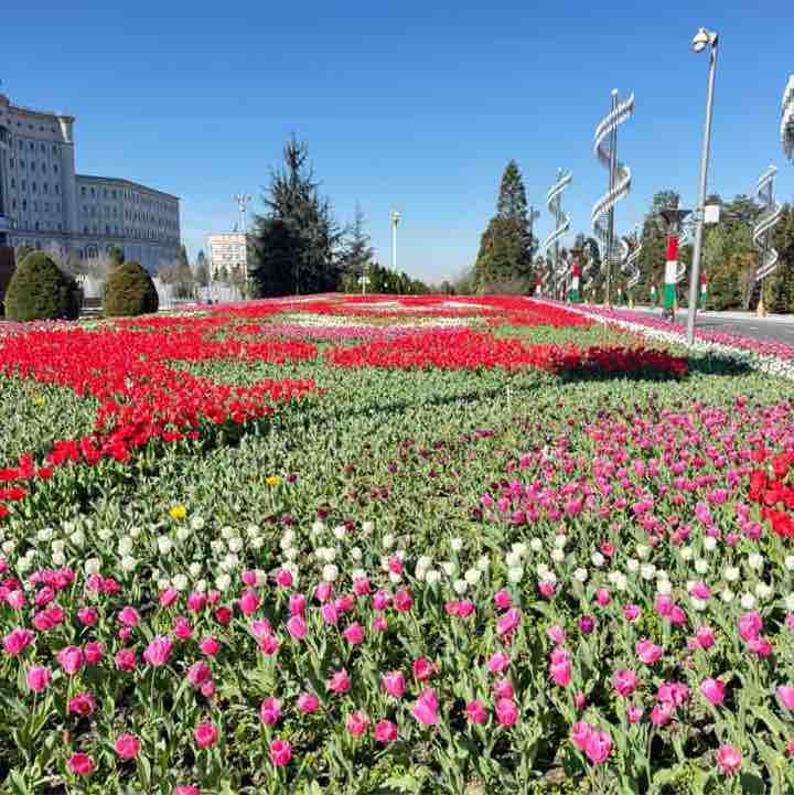 🐯Николай Z 🐯🇷🇺 post 3