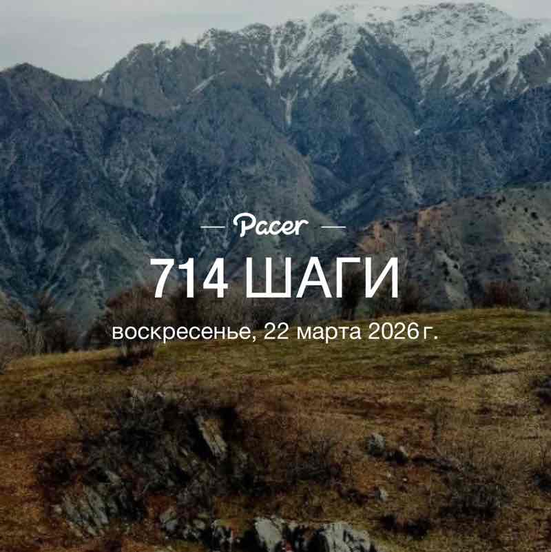 🐯Николай Z 🐯🇷🇺 post 1