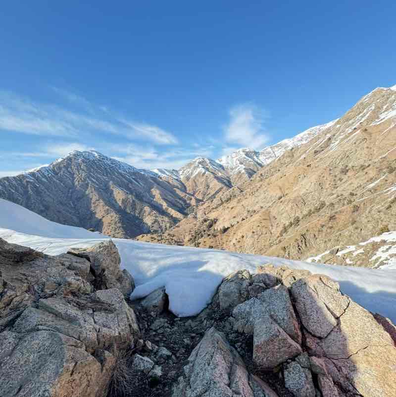 🐯Николай Z 🐯🇷🇺 post 2