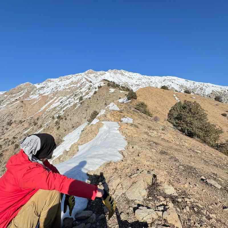 🐯Николай Z 🐯🇷🇺 post 3