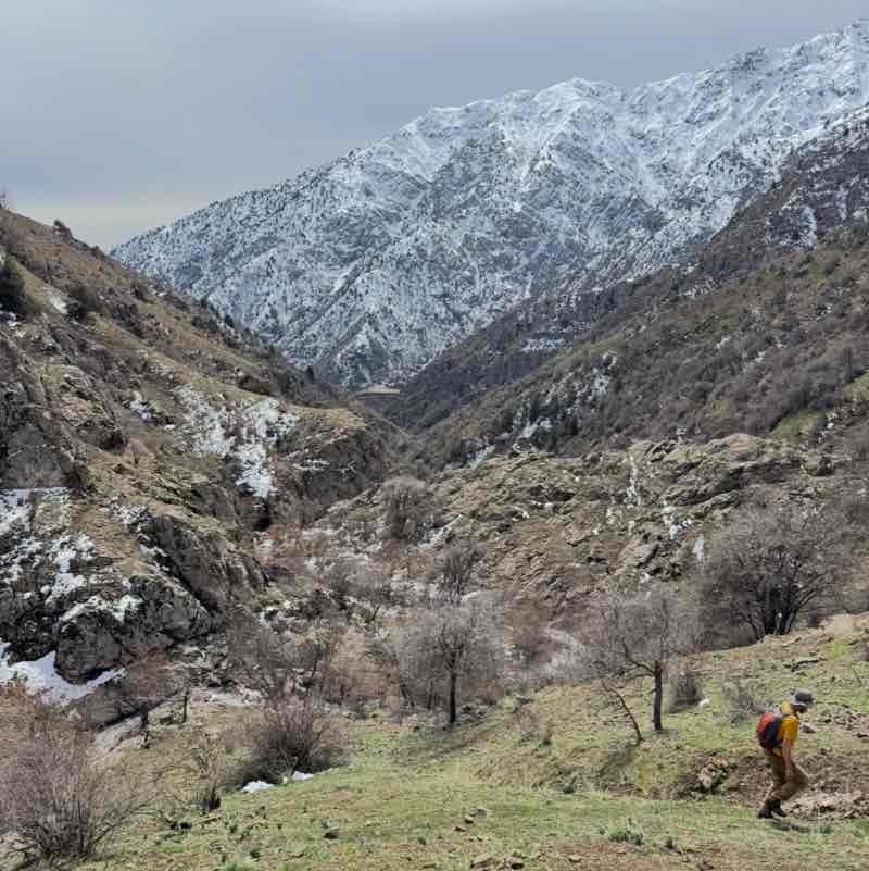 🐯Николай Z 🐯🇷🇺 post 2