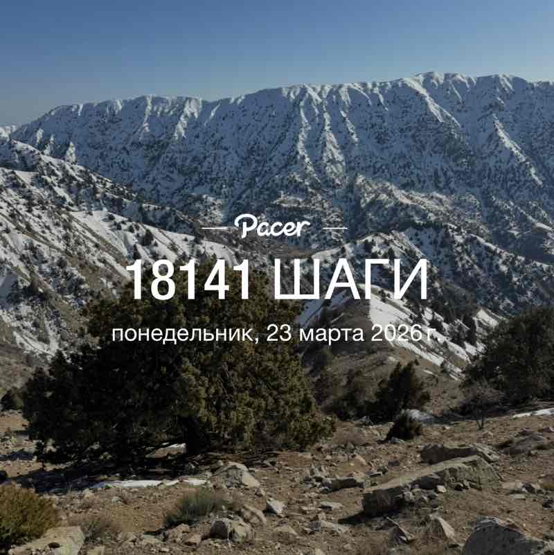 🐯Николай Z 🐯🇷🇺 post 1