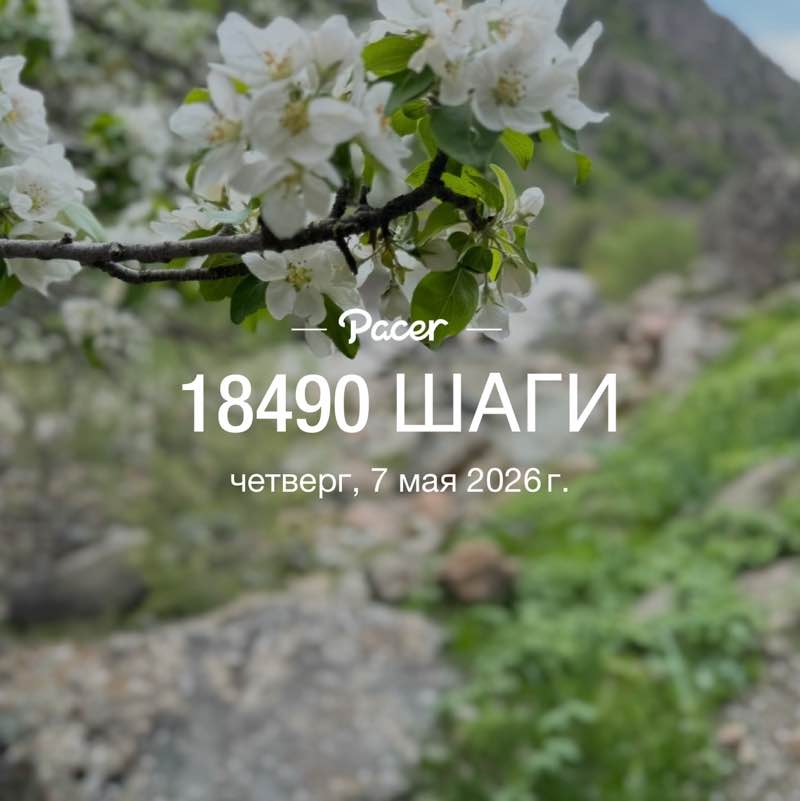 🐯Николай Z 🐯🇷🇺 post 1
