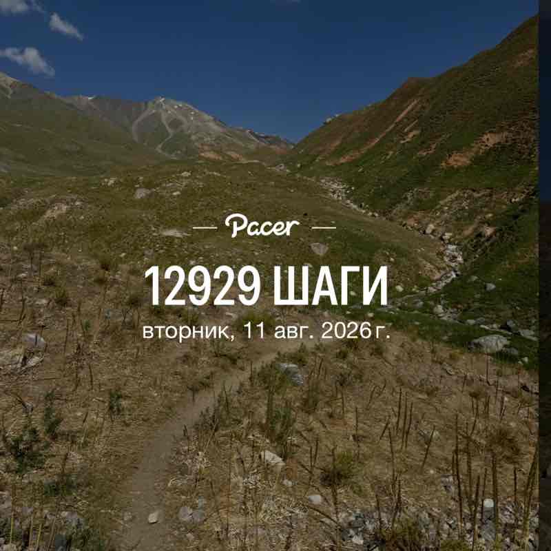 🐯Николай Z 🐯🇷🇺 post 1