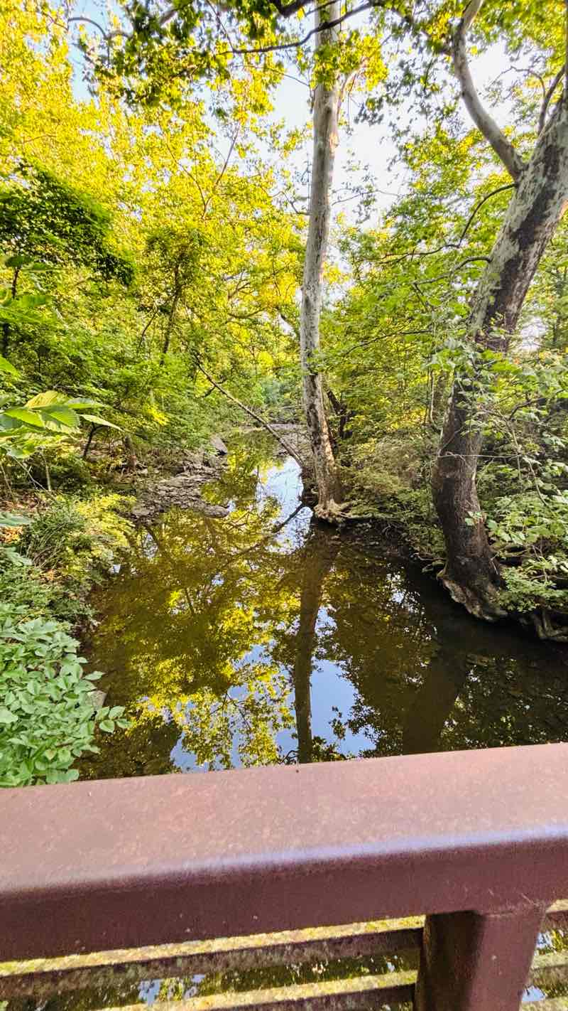 walking near me in Little Mill Creek North Park in summer
