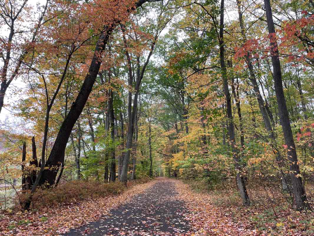 walking near me in Gargoyle Park in winter