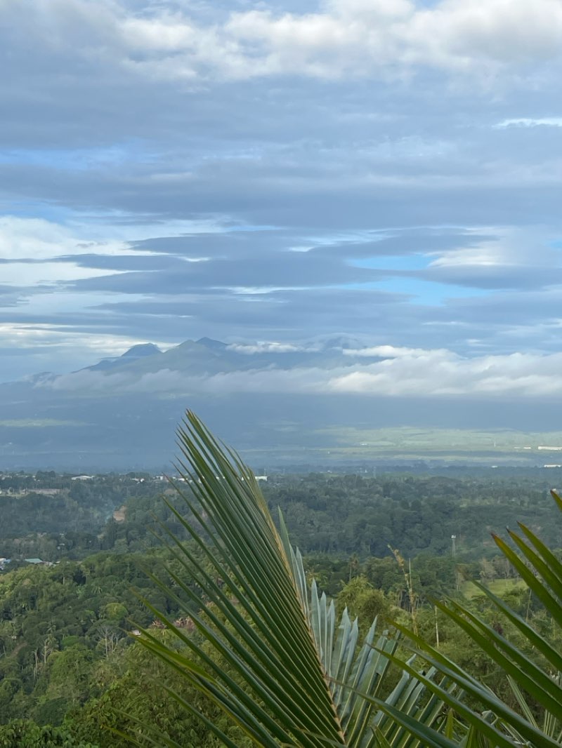 walking near me in Queensland Park in winter