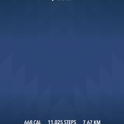 DELHI DAREDEVILS jinesh doshi post image