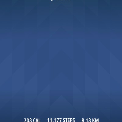 DELHI DAREDEVILS jinesh doshi post image