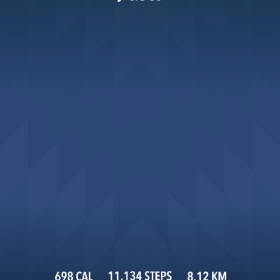 DELHI DAREDEVILS jinesh doshi post image