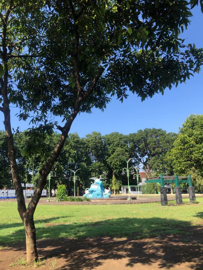 walking near me in Alun-Alun Probolinggo in summer