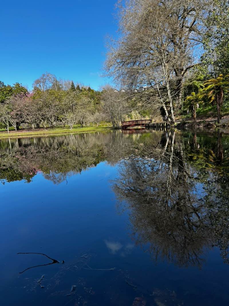 walking near me in Lake Te Koutu Domain in spring