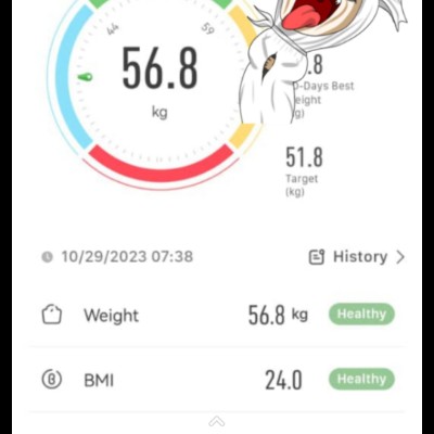 Fit JPNIN HQ Challenge noor aida halim post image