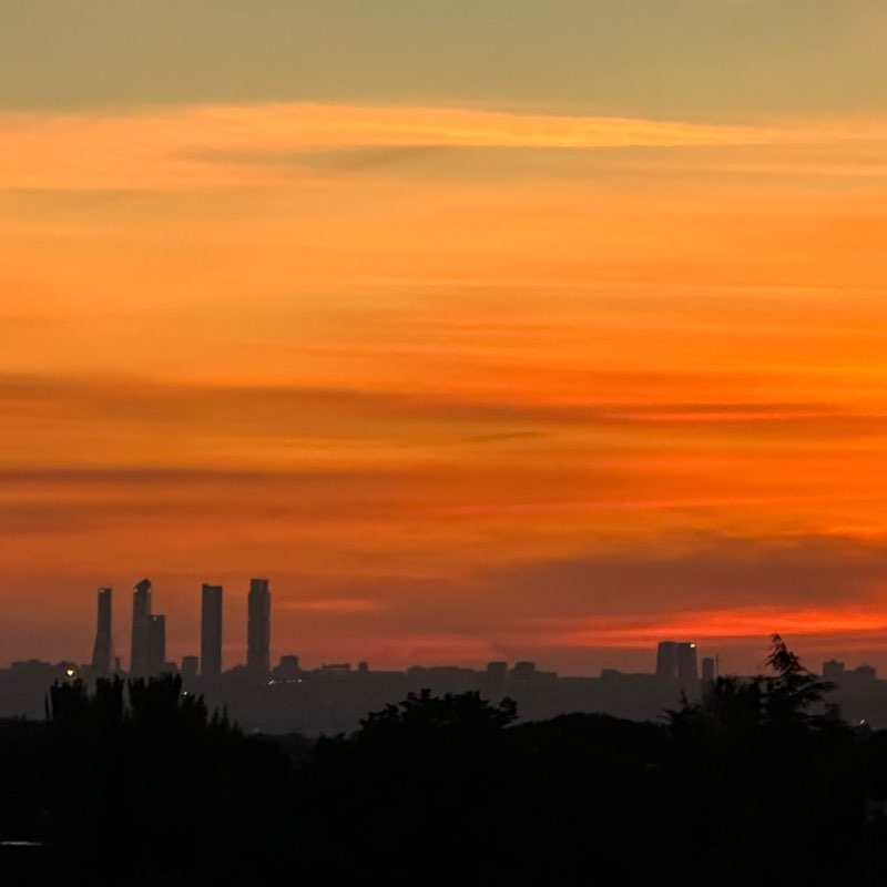 MONICA PERALONSO profile