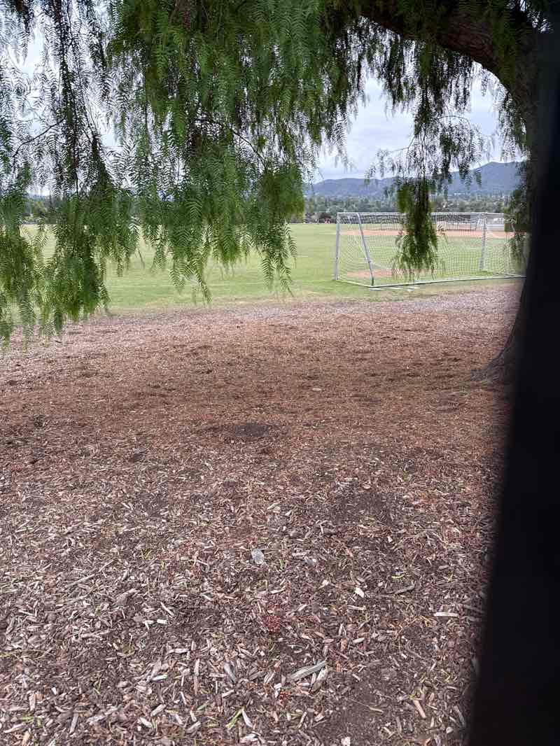 walking near me in Rancho Conejo Playfields in autumn