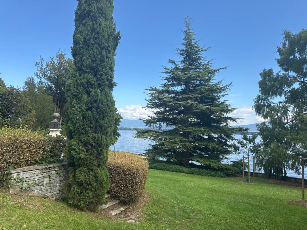 walking near me in Parc du Conservatoire in autumn