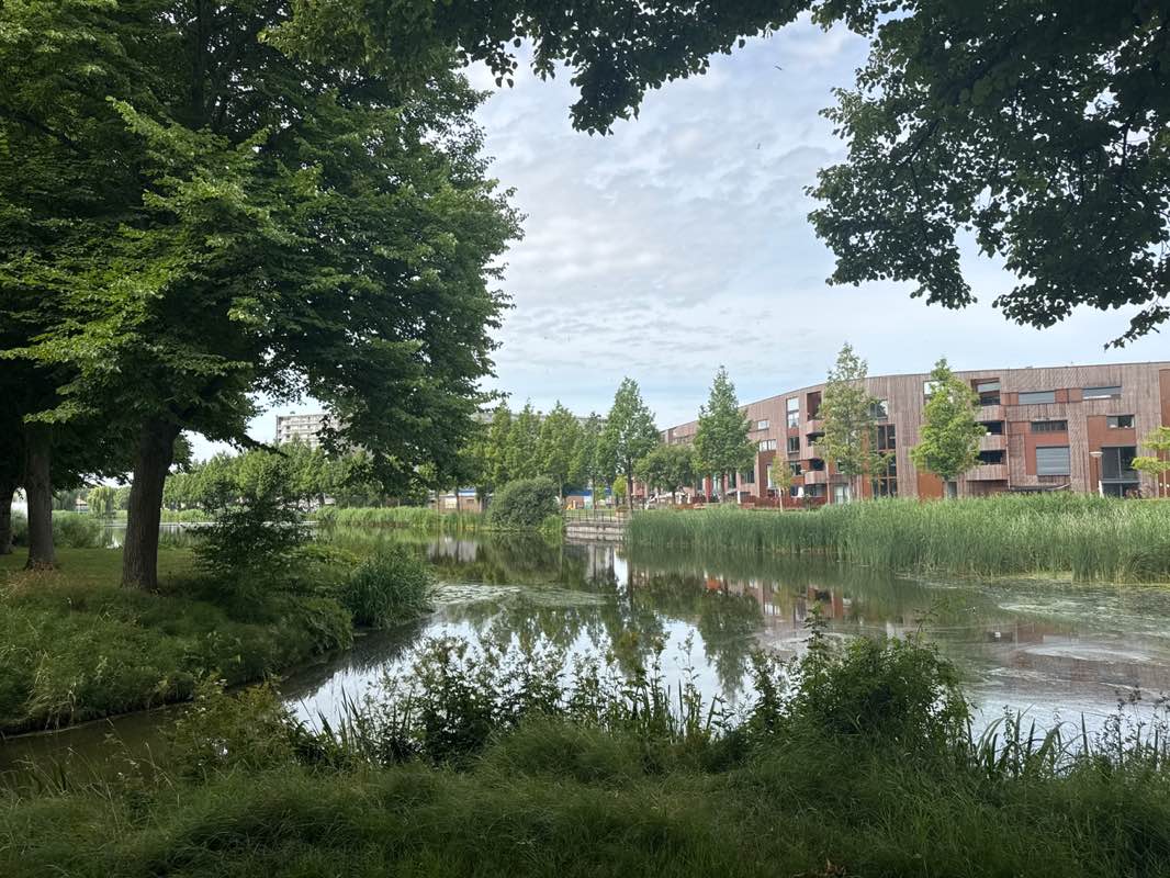 walking near me in Vijverpark in autumn