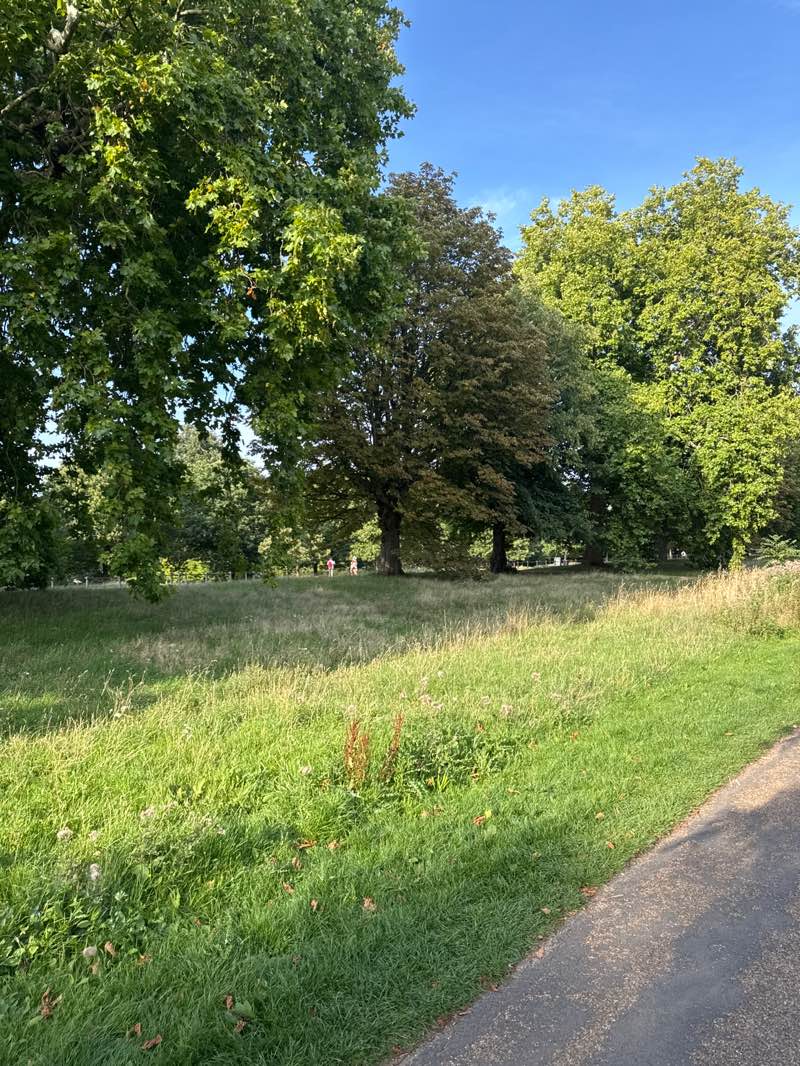 walking near me in Hyde Park in autumn