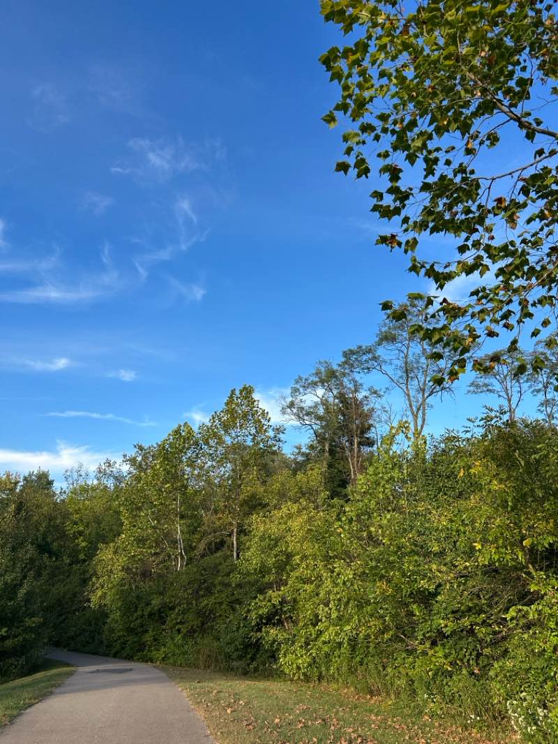 walking near me in Veterans Park in autumn