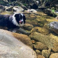 Marcos Barandela profile