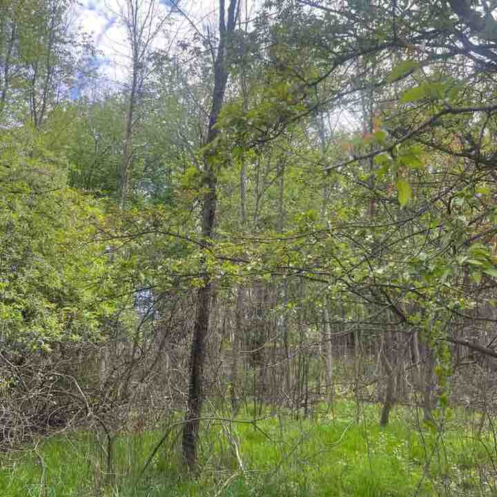 mkdesigns360 post 2